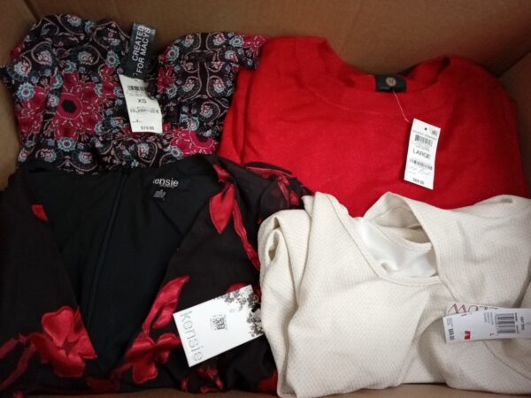 LADIES APPAREL SMALL LOT, SHELF PULLS, 5519920, 37 units, PA image 1