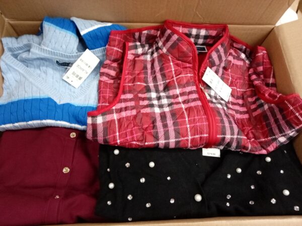 LADIES APPAREL SMALL LOT, SHELF PULLS, 5519920, 37 units, PA image 3