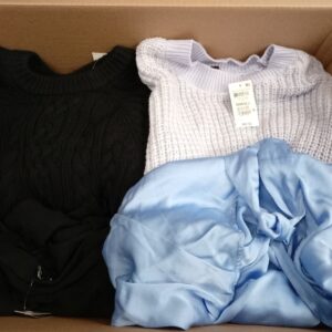 LADIES APPAREL SMALL LOT, SHELF PULLS, 5519930, 31 units, PA image 2