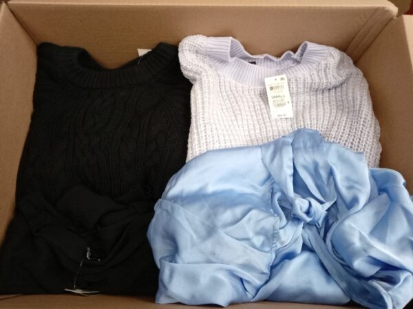 LADIES APPAREL SMALL LOT, SHELF PULLS, 5519930, 31 units, PA image 2