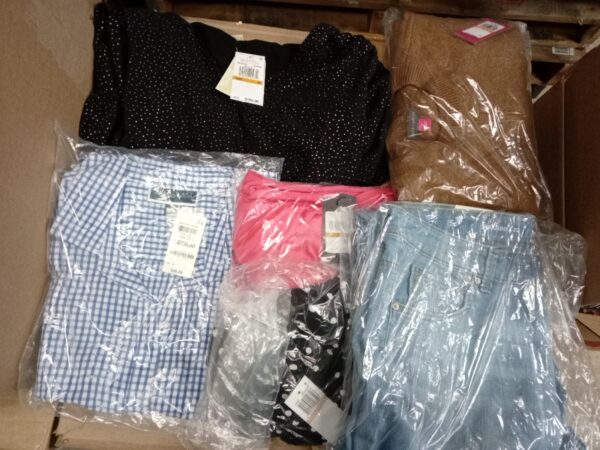 LADIES APPAREL SMALL LOT, SHELF PULLS, 5519956, 45 units, PA image 4