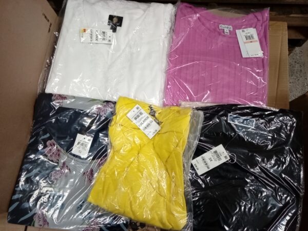 LADIES PLUS SIZE SMALL LOT, SHELF PULLS, 5519957, 41 units, PA image 5
