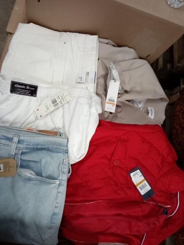LADIES PLUS SIZE SMALL LOT, SHELF PULLS, 5519957, 41 units, PA image 2