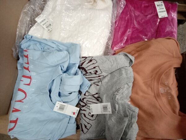LADIES PLUS SIZE SMALL LOT, SHELF PULLS, 5519957, 41 units, PA image 3