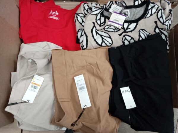 LADIES PLUS SIZE SMALL LOT, SHELF PULLS, 5519957, 41 units, PA image 1