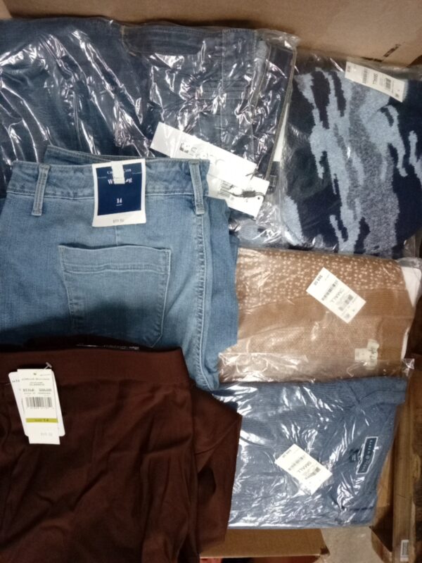 LADIES APPAREL SMALL LOT, SHELF PULLS, 5519958, 34 units, PA image 2
