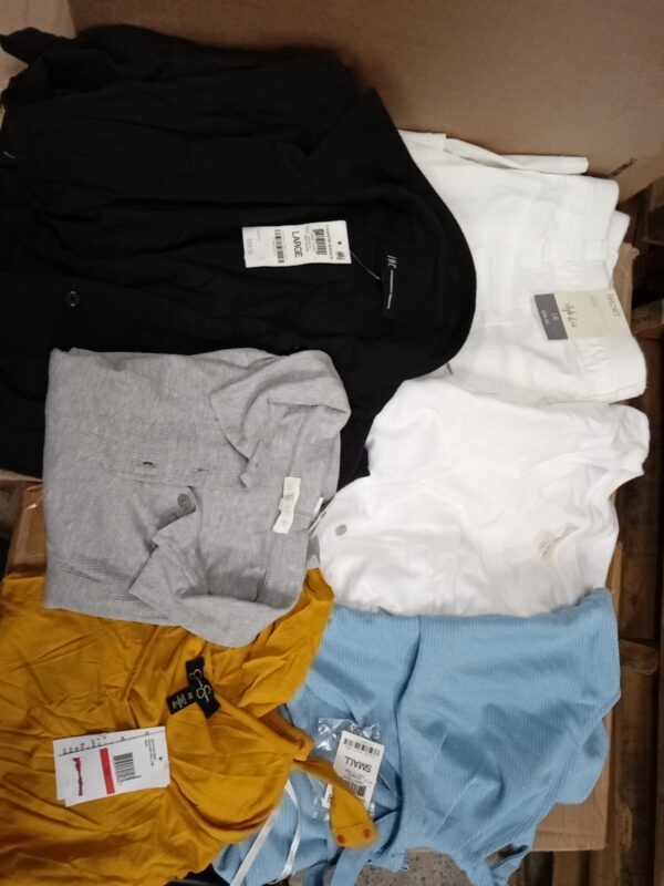 LADIES APPAREL SMALL LOT, SHELF PULLS, 5519961, 47 units, PA image 6