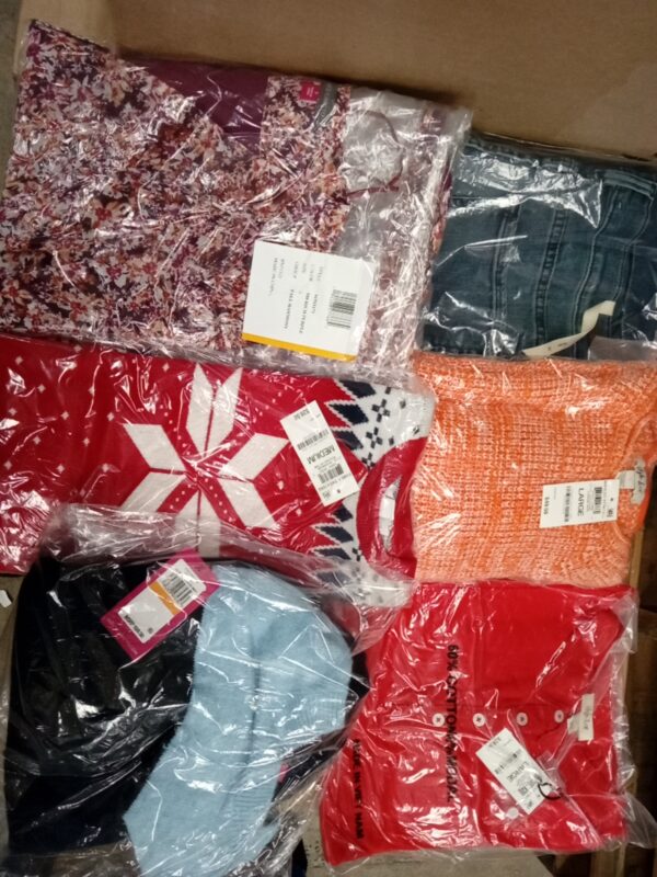 LADIES APPAREL SMALL LOT, SHELF PULLS, 5519961, 47 units, PA image 1