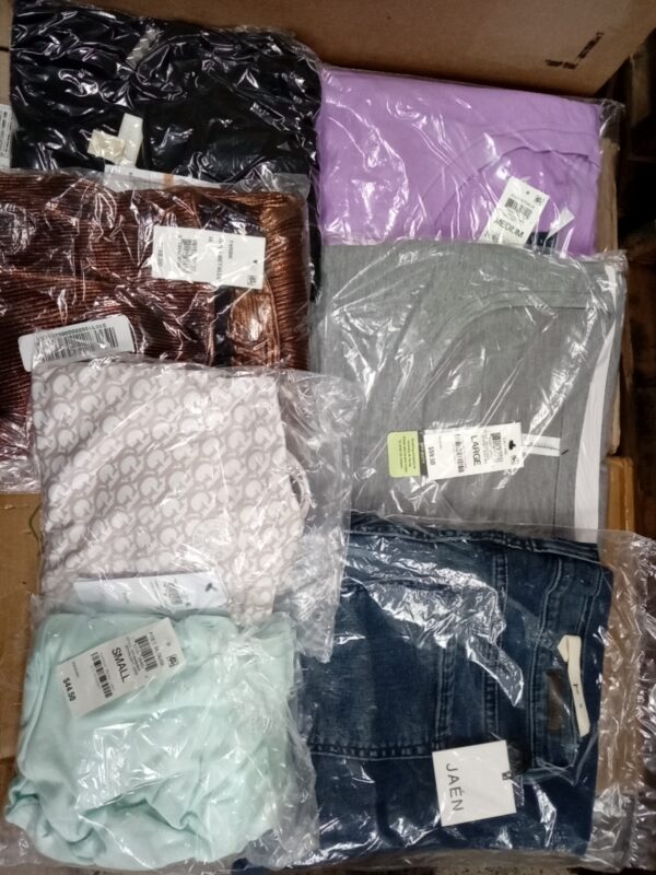 LADIES APPAREL SMALL LOT, SHELF PULLS, 5519962, 49 units, PA image 2