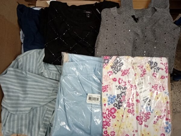LADIES APPAREL SMALL LOT, SHELF PULLS, 5519963, 48 units, PA image 3