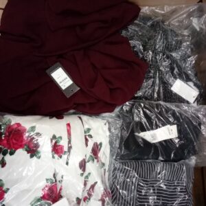 LADIES APPAREL SMALL LOT, SHELF PULLS, 5519963, 48 units, PA image 1