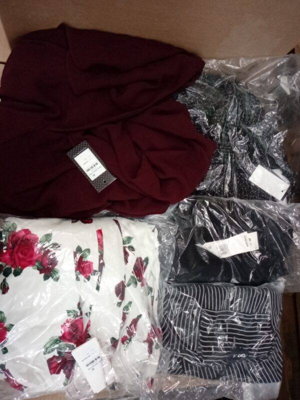 LADIES APPAREL SMALL LOT, SHELF PULLS, 5519963, 48 units, PA image 1