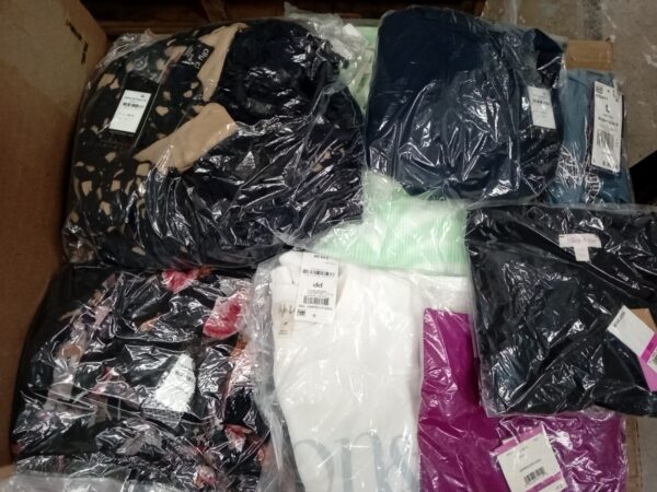 LADIES APPAREL SMALL LOT, SHELF PULLS, 5519972, 42 units, PA image 2