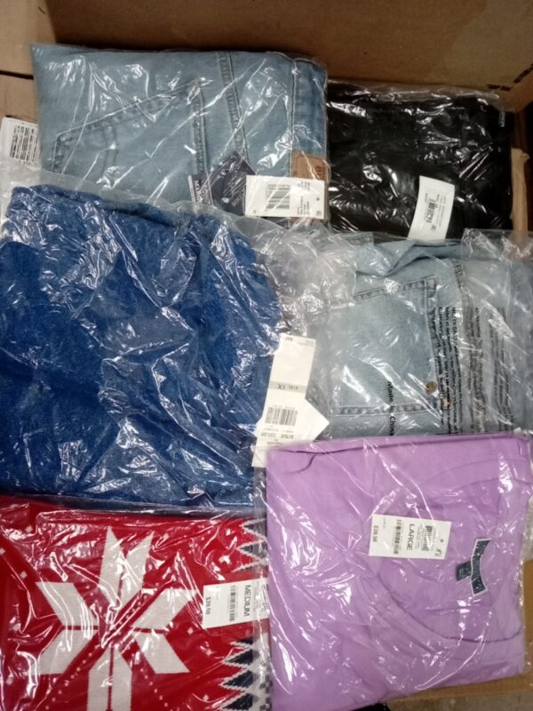 LADIES APPAREL SMALL LOT, SHELF PULLS, 5519972, 42 units, PA image 3