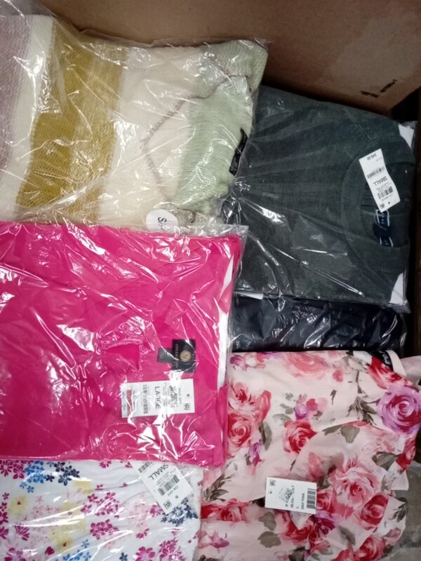 LADIES APPAREL SMALL LOT, SHELF PULLS, 5519972, 42 units, PA image 4