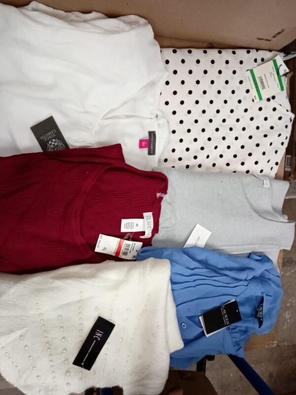 LADIES APPAREL SMALL LOT, SHELF PULLS, 5519994, 50 units, PA image 1