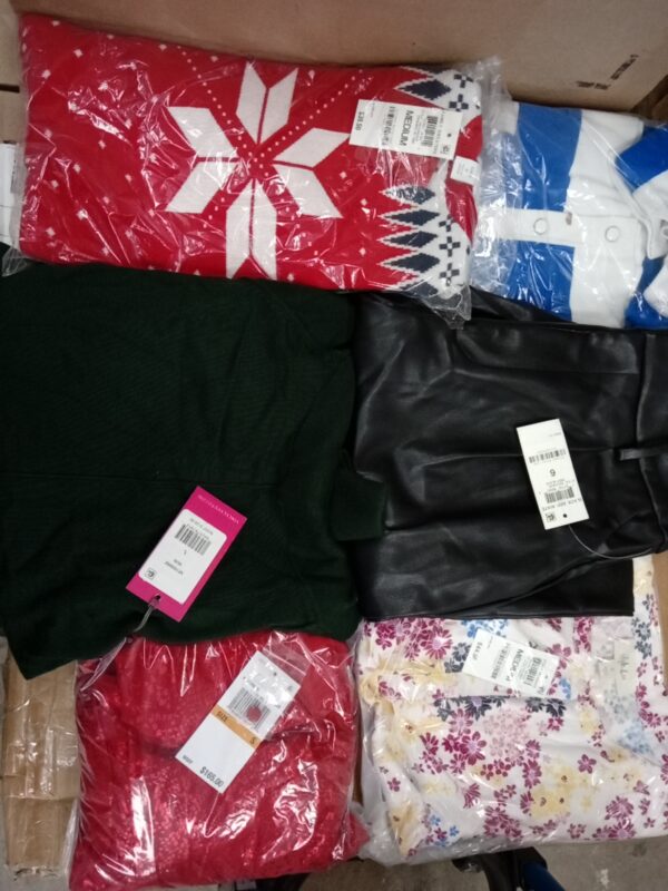 LADIES APPAREL SMALL LOT, SHELF PULLS, 5519994, 50 units, PA image 6