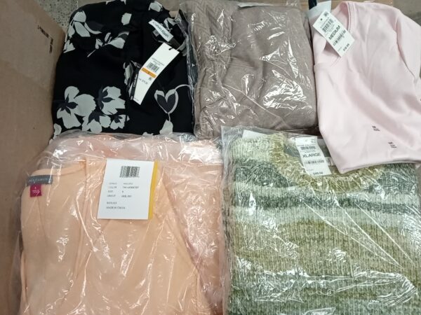 LADIES APPAREL SMALL LOT, SHELF PULLS, 5520022, 45 units, PA image 3