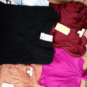 LADIES APPAREL SMALL LOT, SHELF PULLS, 5520082, 50 units, PA image 5