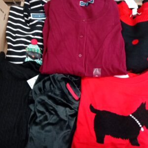 LADIES APPAREL SMALL LOT, SHELF PULLS, 5520082, 50 units, PA image 2
