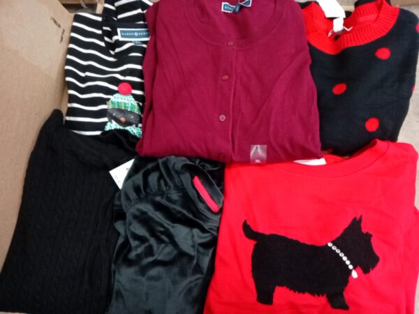LADIES APPAREL SMALL LOT, SHELF PULLS, 5520082, 50 units, PA image 2
