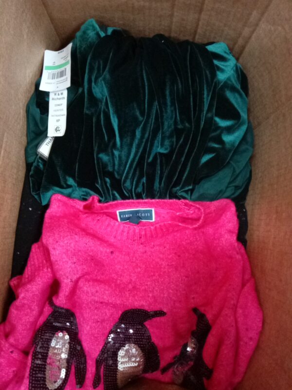 LADIES APPAREL SMALL LOT, SHELF PULLS, 5520084, 54 units, PA image 5