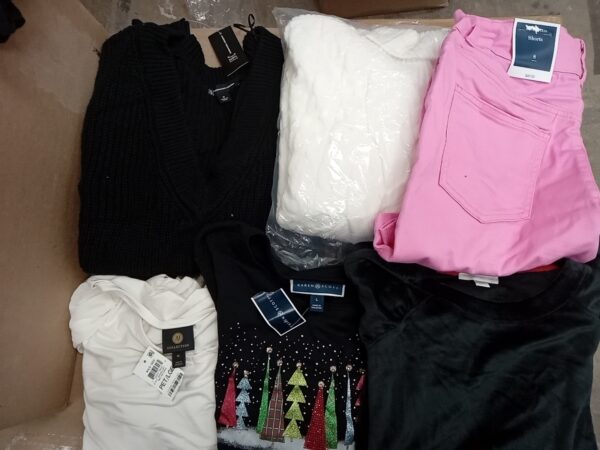 LADIES APPAREL SMALL LOT, SHELF PULLS, 5520084, 54 units, PA image 4