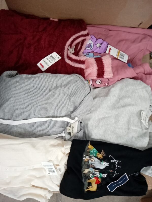 LADIES APPAREL SMALL LOT, SHELF PULLS, 5520088, 57 units, PA image 3