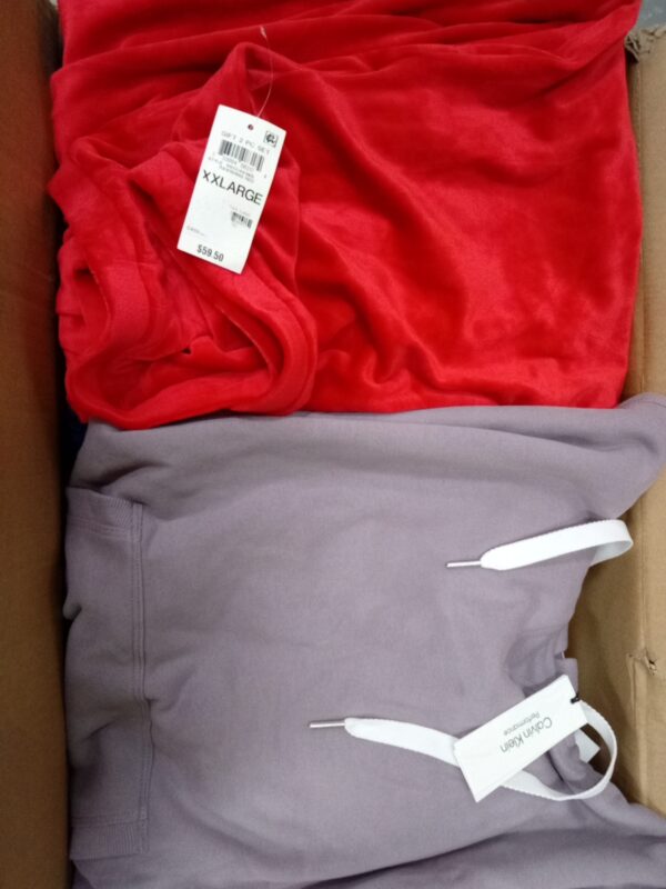 LADIES PLUS SIZE SMALL LOT, SHELF PULLS, 5520091, 33 units, PA image 4