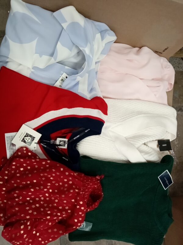 LADIES PLUS SIZE SMALL LOT, SHELF PULLS, 5520091, 33 units, PA image 1