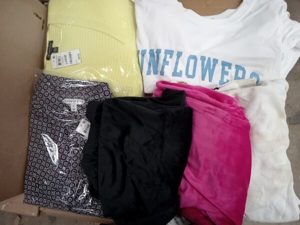 LADIES PLUS SIZE SMALL LOT, SHELF PULLS, 5520091, 33 units, PA image 2