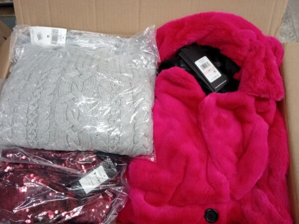 LADIES APPAREL SMALL LOT, SHELF PULLS, 5520142, 29 units, PA image 3