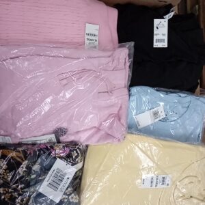 LADIES PLUS SIZE SMALL LOT, SHELF PULLS, 5520225, 40 units, PA image 3