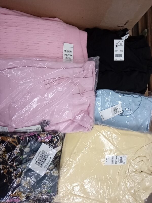 LADIES PLUS SIZE SMALL LOT, SHELF PULLS, 5520225, 40 units, PA image 3