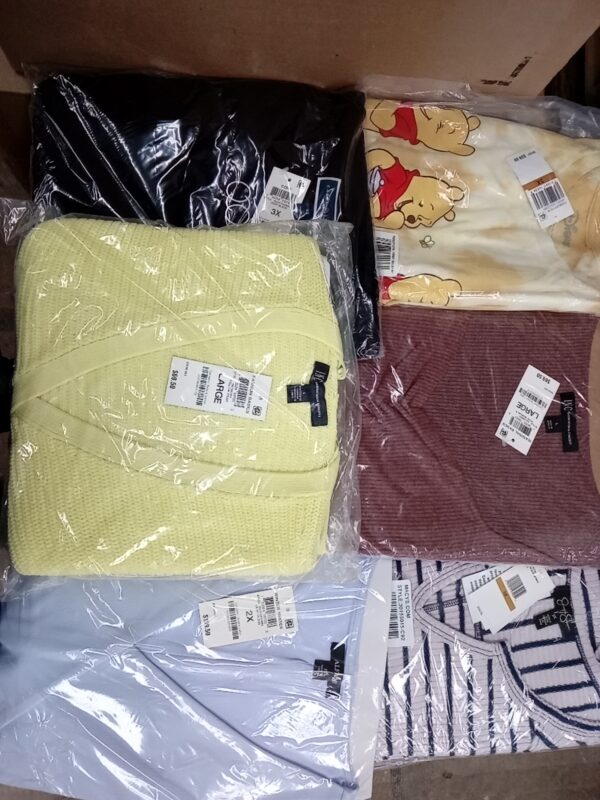 LADIES PLUS SIZE SMALL LOT, SHELF PULLS, 5520225, 40 units, PA image 5