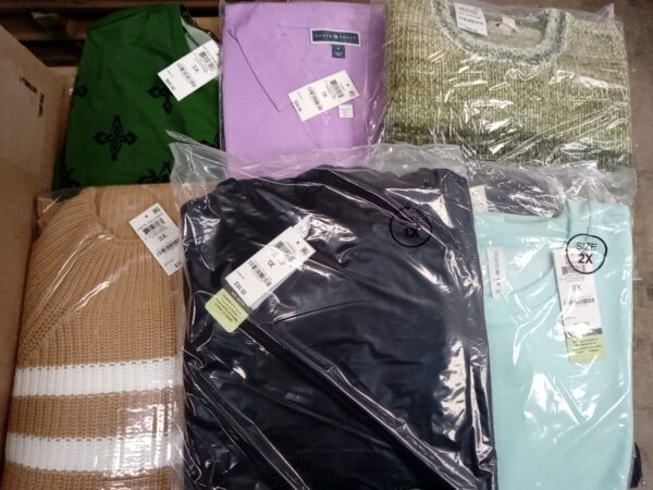 LADIES PLUS SIZE SMALL LOT, SHELF PULLS, 5520225, 40 units, PA image 1