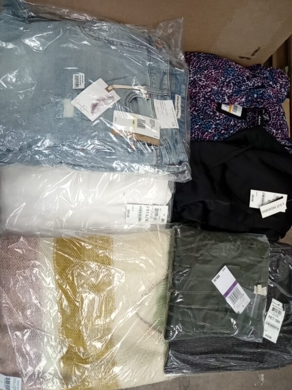 LADIES APPAREL SMALL LOT, SHELF PULLS, 5520228, 38 units, PA image 1