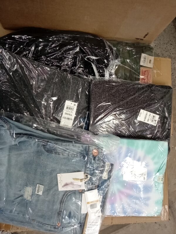 LADIES APPAREL SMALL LOT, SHELF PULLS, 5520248, 39 units, PA image 2