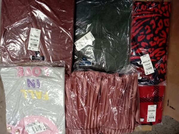 LADIES APPAREL SMALL LOT, SHELF PULLS, 5520248, 39 units, PA image 3