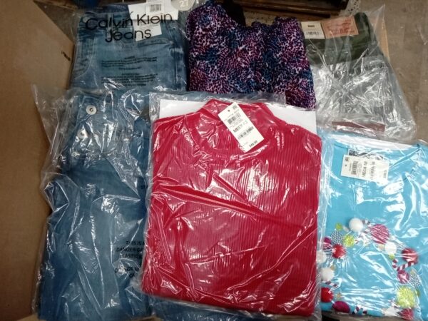 LADIES APPAREL SMALL LOT, SHELF PULLS, 5520264, 41 units, PA image 4