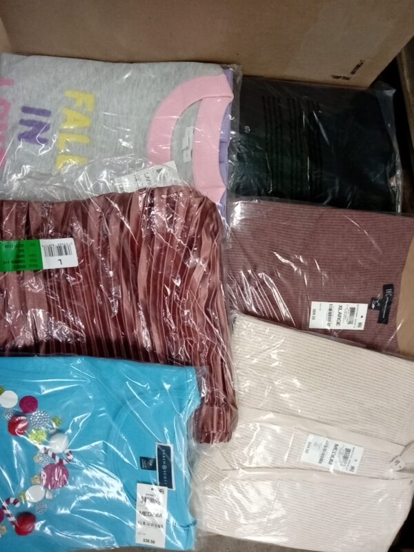 LADIES APPAREL SMALL LOT, SHELF PULLS, 5520349, 38 units, PA image 3