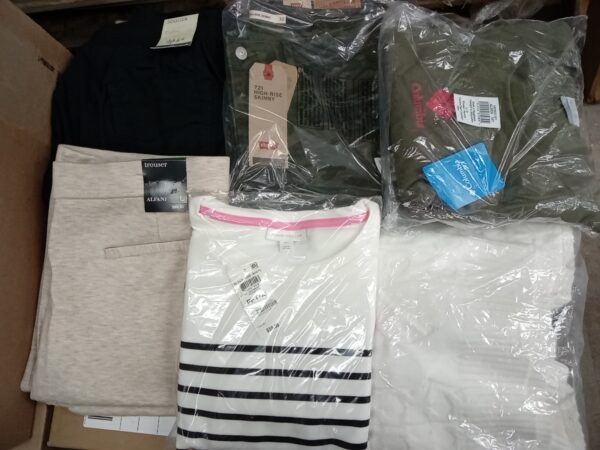 LADIES APPAREL SMALL LOT, SHELF PULLS, 5520349, 38 units, PA image 2