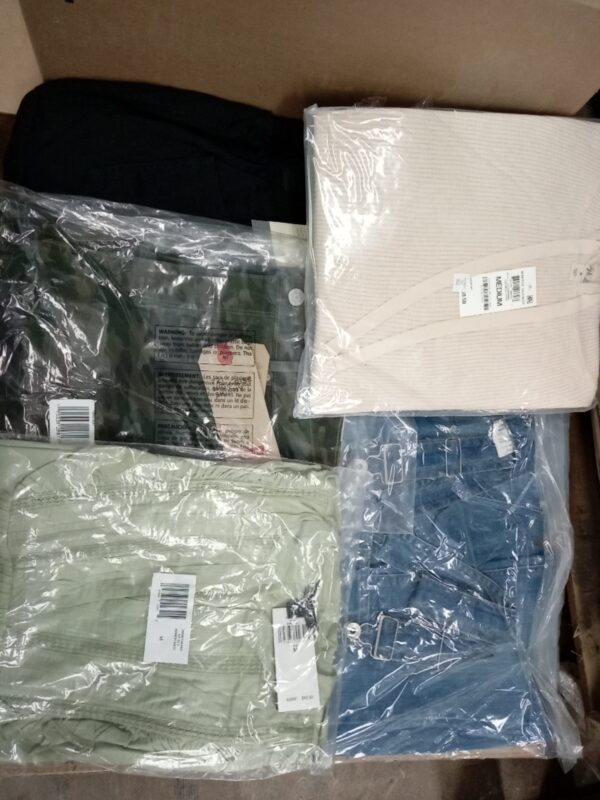 LADIES APPAREL SMALL LOT, SHELF PULLS, 5520350, 41 units, PA image 1