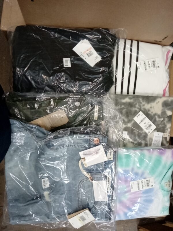 LADIES APPAREL SMALL LOT, SHELF PULLS, 5520351, 39 units, PA image 2