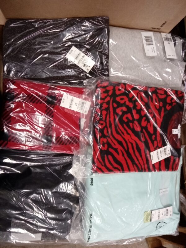 LADIES APPAREL SMALL LOT, SHELF PULLS, 5520351, 39 units, PA image 3