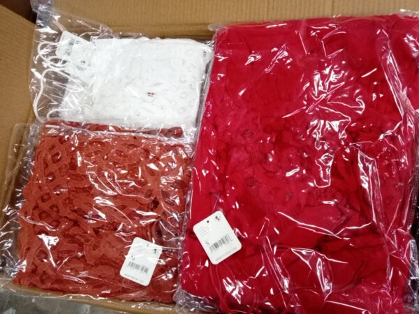 LADIES INTIMATE SMALL LOT, SHELF PULLS, 5520357, 93 units, PA image 3