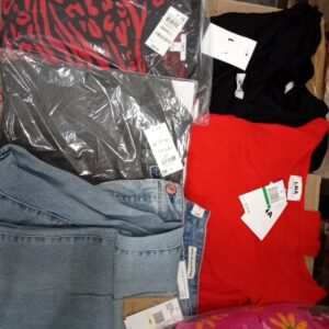 LADIES APPAREL SMALL LOT, SHELF PULLS, 5520516, 41 units, PA image 1