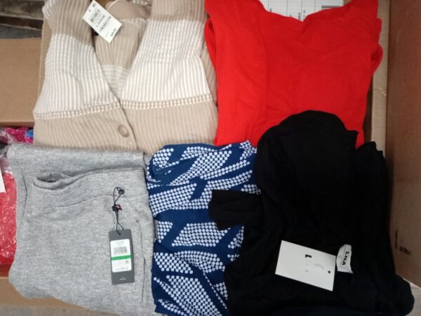 LADIES APPAREL SMALL LOT, SHELF PULLS, 5520517, 49 units, PA image 4