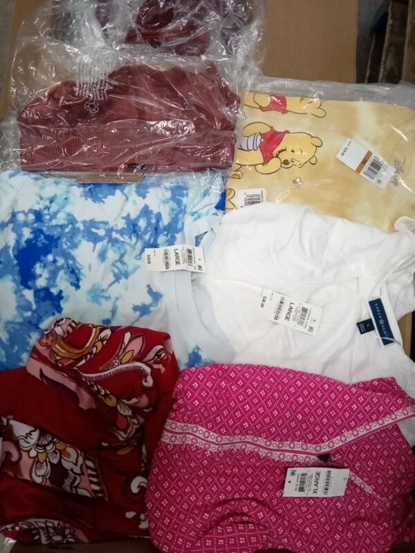 LADIES APPAREL SMALL LOT, SHELF PULLS, 5520517, 49 units, PA image 3