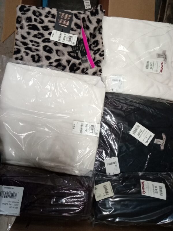LADIES APPAREL SMALL LOT, SHELF PULLS, 5520517, 49 units, PA image 2